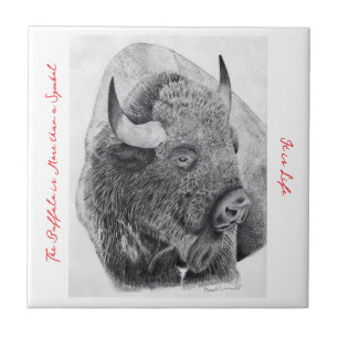 Carreau Bison d'Amérique