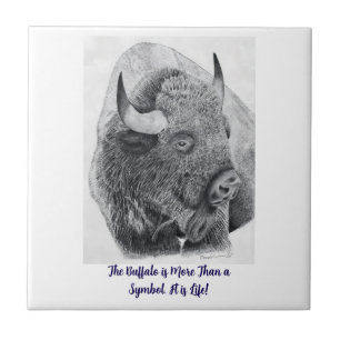 Carreau Bison d'Amérique