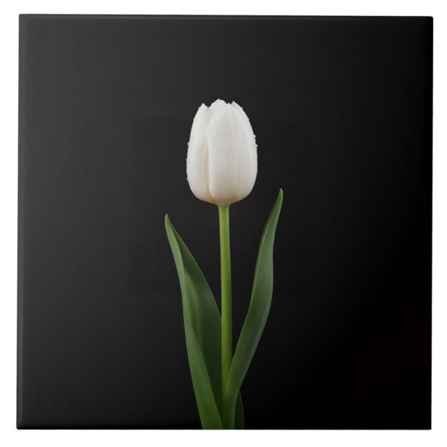 Carreau Black 4 Luxe avec Tulipe Blanc Perle (Devant)