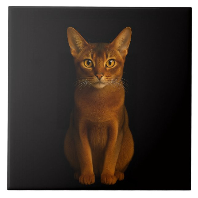 Carreau Black 4 Luxe Tile with Abyssinian Beauty (Devant)