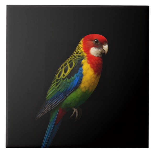 Carreau Black 4 Luxe Tile with Eastern Rosella Parrot (Devant)