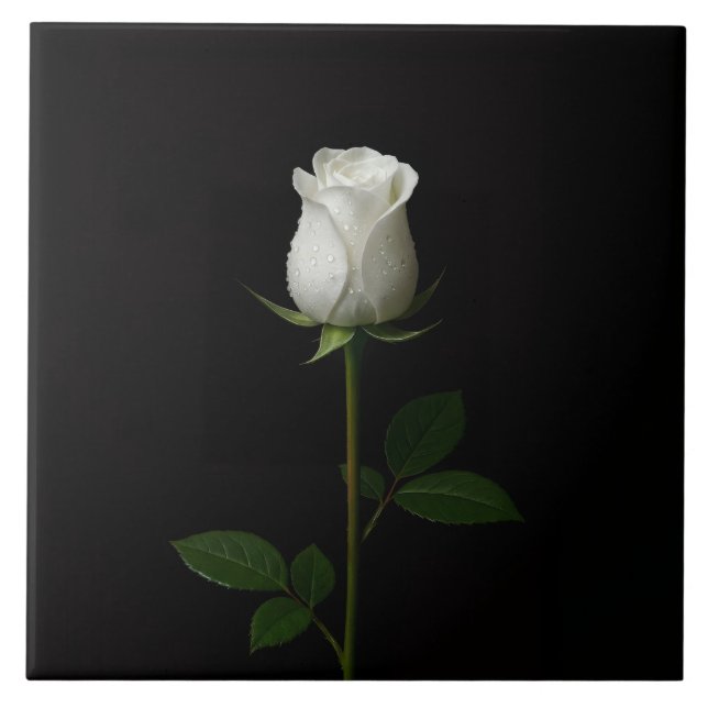 Carreau Black 4 Luxe Tile with Pure White Rose (Devant)
