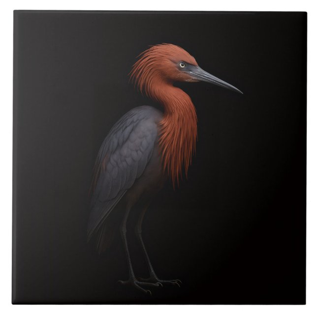 Carreau Black 4 Luxe Tile with Reddish Egret (Devant)