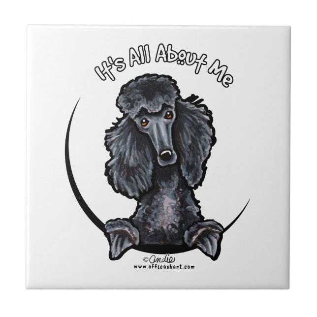 Carreau Black Standard Poodle IAAM (Devant)