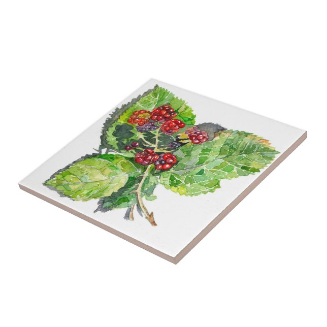 Carreau BlackBerry (Côté)