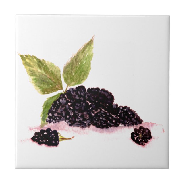 Carreau Blackberry Bramble mûres fruits aquarelle (Devant)
