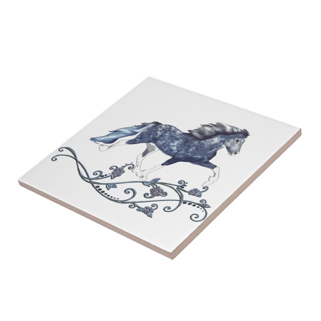 Carreau Blámóða (Côté)