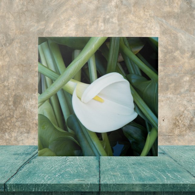 Carreau Blanc Calla Lily et vert Folial Floral (In Situ)