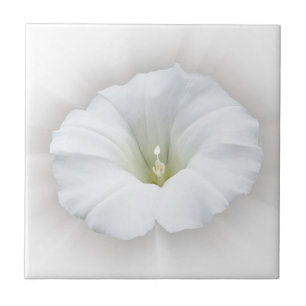 Carreau blanc et gris