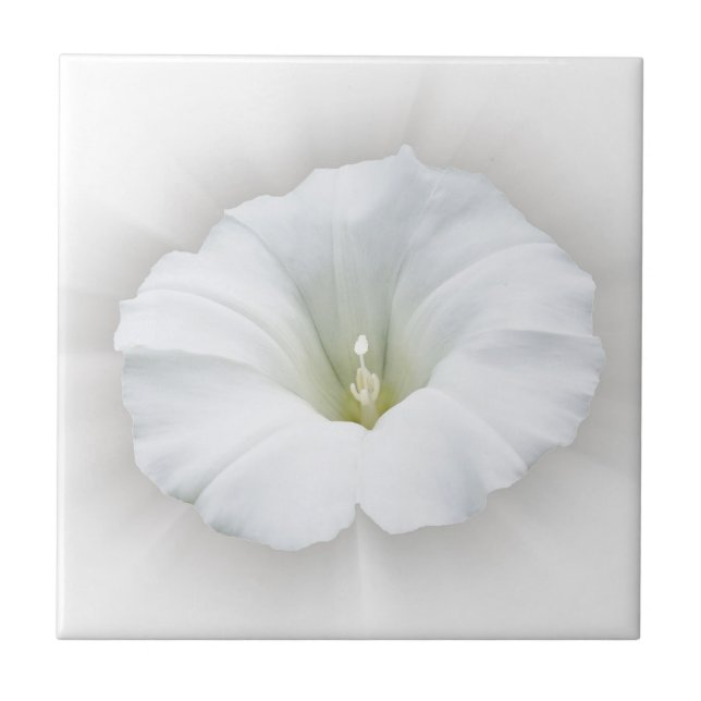 Carreau blanc et gris (Devant)