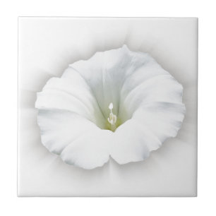 Carreau blanc et nuances de gris