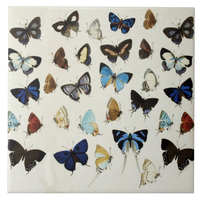 Carreau BLANC NOIR BUTTERFLIES BLEU Beauté Nature Lover (Devant)