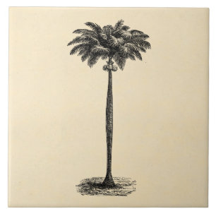Carreau Blanc tropical vintage de modèle de palmier d'îl