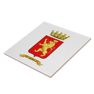 Carreau Blason de Vintimille