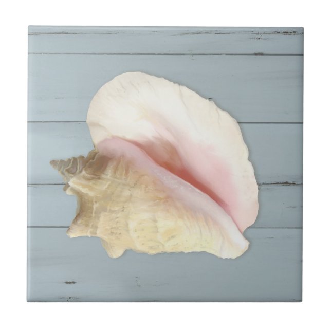 Carreau Bleu Beach Conch Coastal Coastal Shell Wood (Devant)