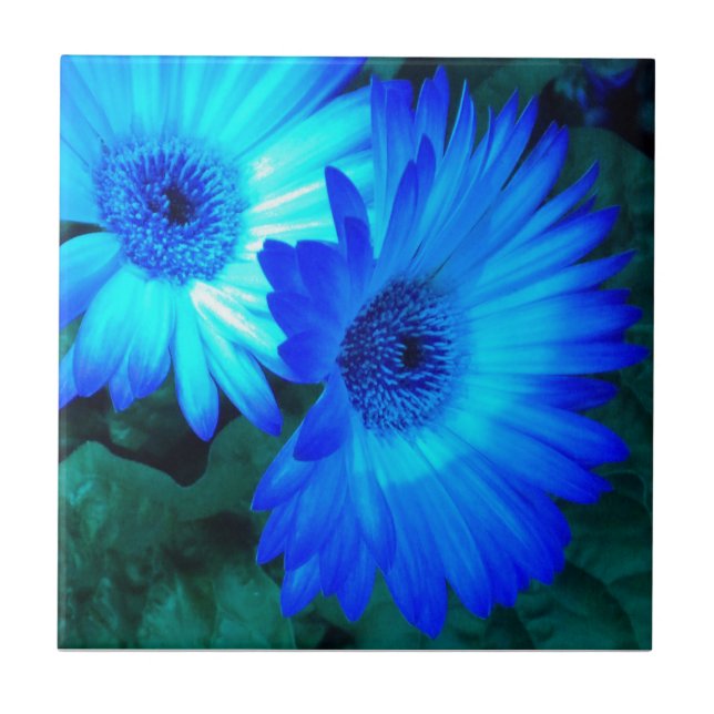 Carreau Bleu brillant marguerites carrelage Trivet (Devant)