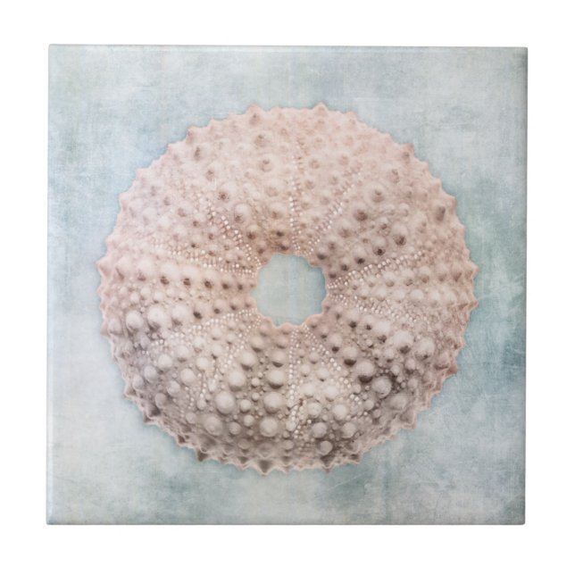 Carreau Bleu côtier et crèmes de pêche Mer détendue (Devant)