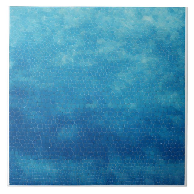 Carreau Bleu et blanc (Devant)