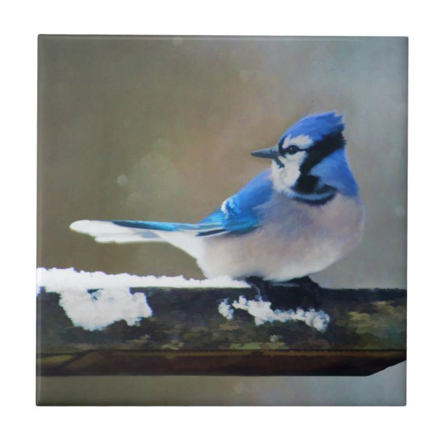 Carreau Bleu Jay Painting - Art original pour les oiseaux (Devant)