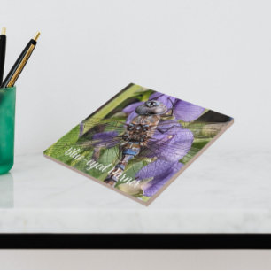 Carreau Bleu-Oyé Denton sur Flower