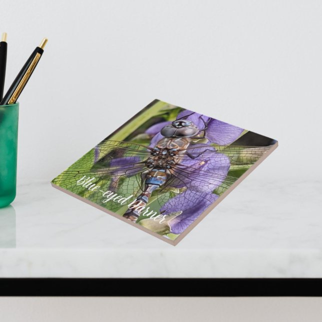 Carreau Bleu-Oyé Denton sur Flower (In Situ)