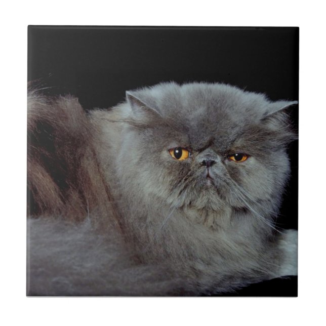 Carreau Bleu perse (Devant)