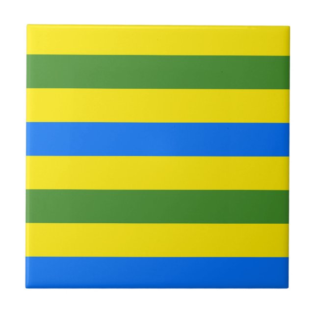 Carreau Bleu vert et jaune (Devant)