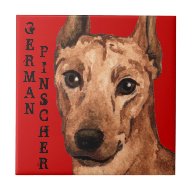 Carreau Bloc de couleur Pinscher allemand (Devant)