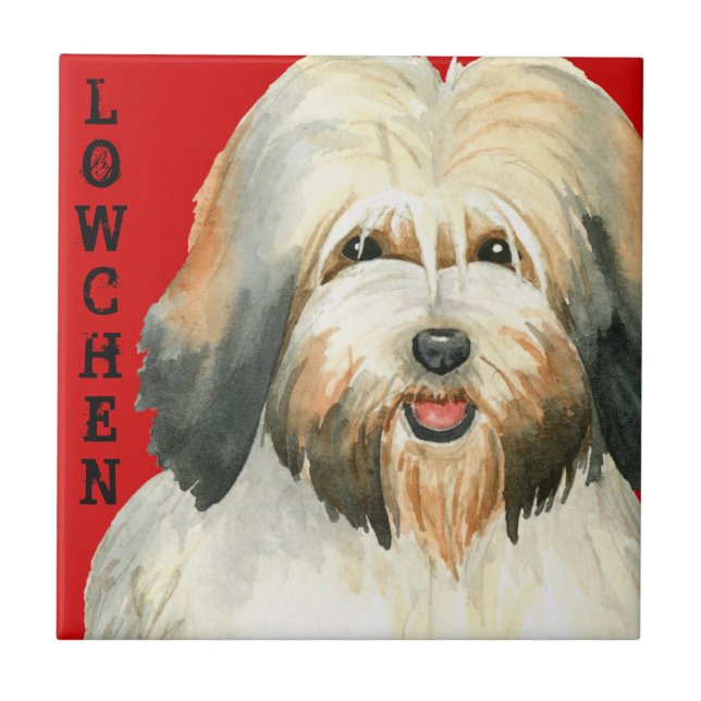 Carreau Bloc de couleurs Lowchen (Devant)