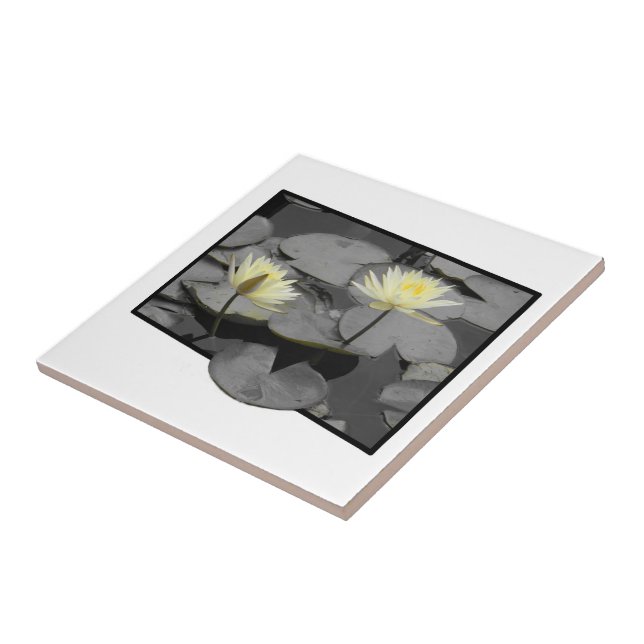 Carreau Bloom au-delà du cadre (Côté)