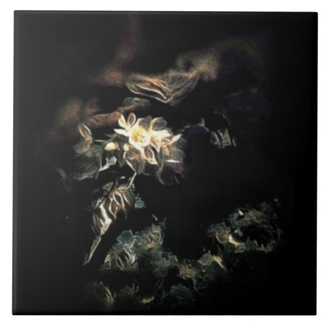 Carreau Bloomed (Devant)