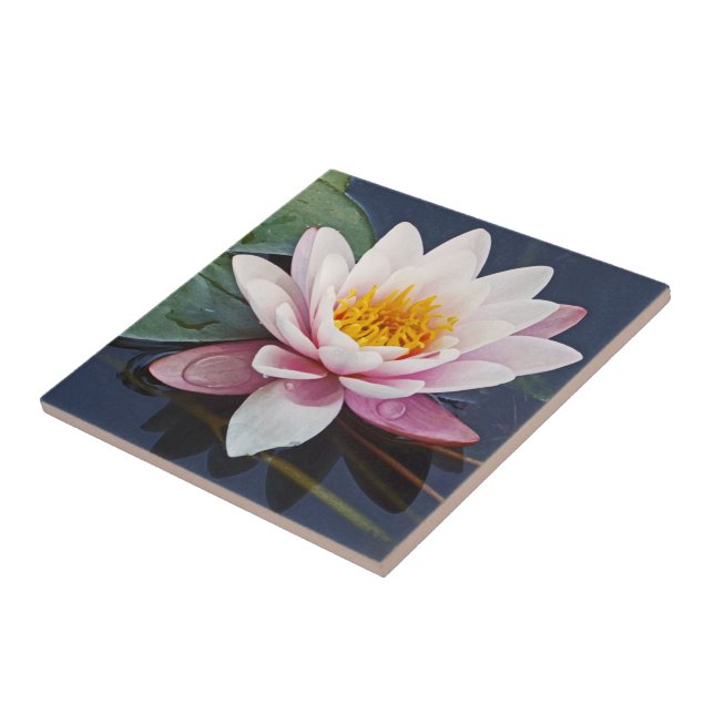 CARREAU "BLOSSOM DE LOTUS ROSE AVEC DES GOUTTES D'EAU SUR  (Côté)