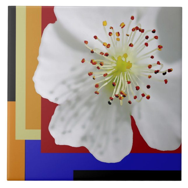 Carreau Blossom de printemps blanc Fine Art Géométrique co (Devant)