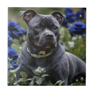 Carreau "Blue Brindle Beauty : Un Staffy en Rose bleu
