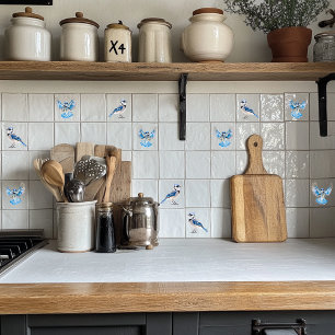 Carreau Blue Jay en vol