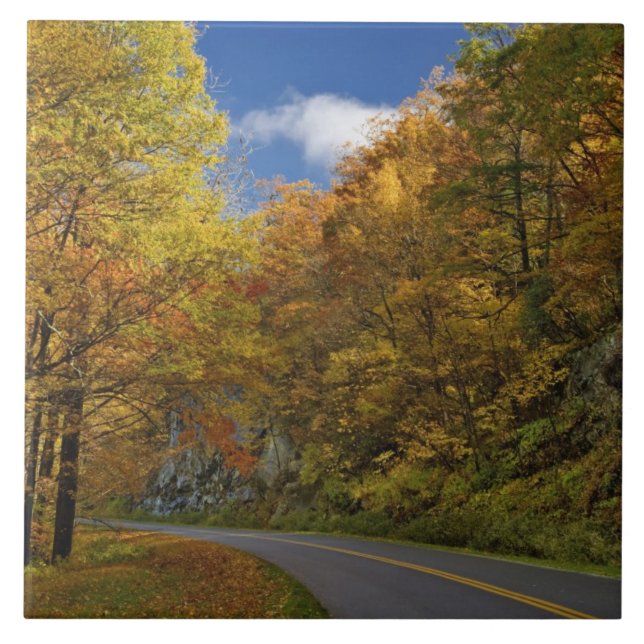 Carreau Blue Ridge Parkway sinuant à travers les couleurs  (Devant)