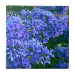 Carreau Blue violet lilas romantique bleu floral photo<br><div class="desc">Romantique élégant gracieux vintage violet lavande bleu violet lilas</div>