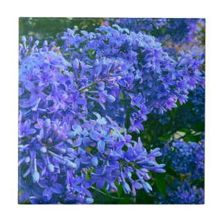 Carreau Blue violet lilas romantique bleu floral photo