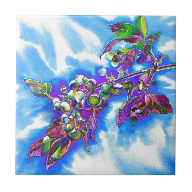 Carreau Blueberry Solar (Devant)