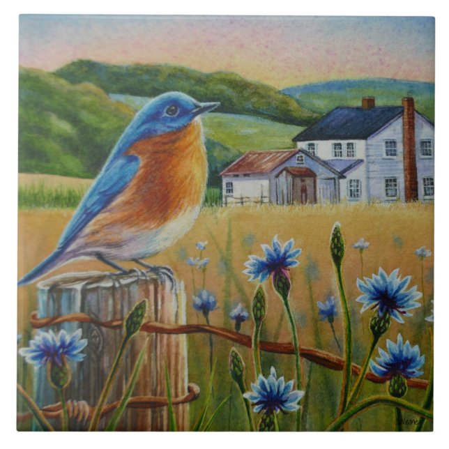 Carreau Bluebird Cornflowers Summer Farm Waterart (Devant)