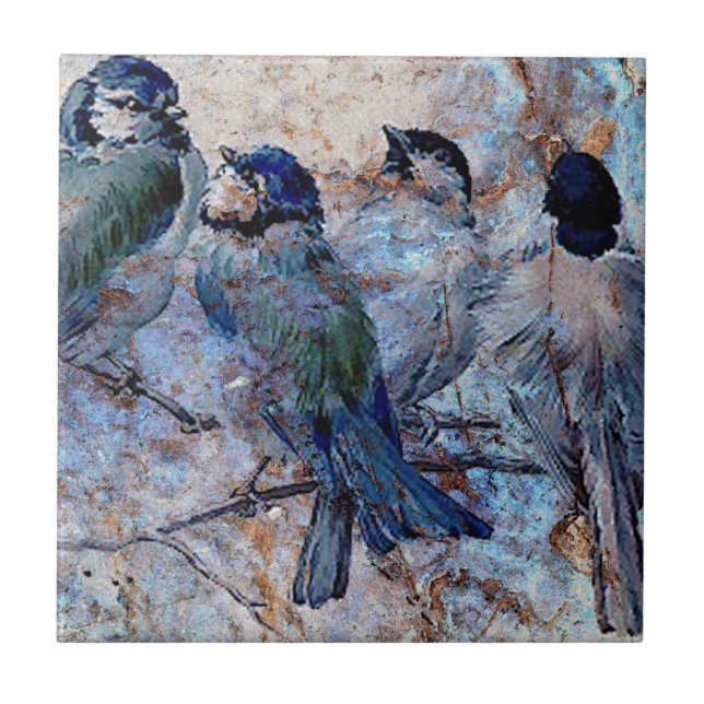Carreau BLUEBIRD SOCIAL.jpg (Devant)
