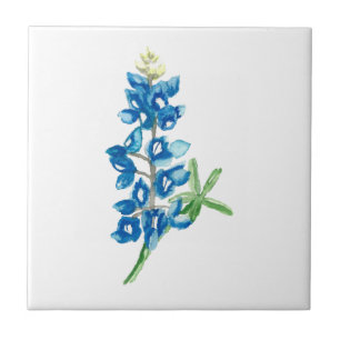 Carreau Bluebonnet 2