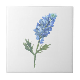 Carreau Bluebonnets Texas State Flowers Lupine Watercolor