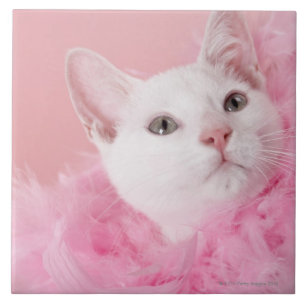 Carreau Boa de plume de port de chat
