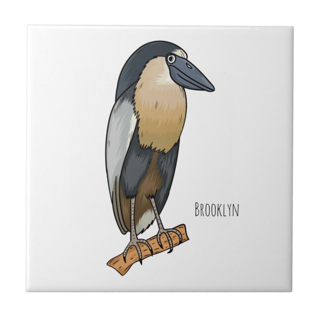 Carreau Boat-billed heron bird cartoon (Devant)