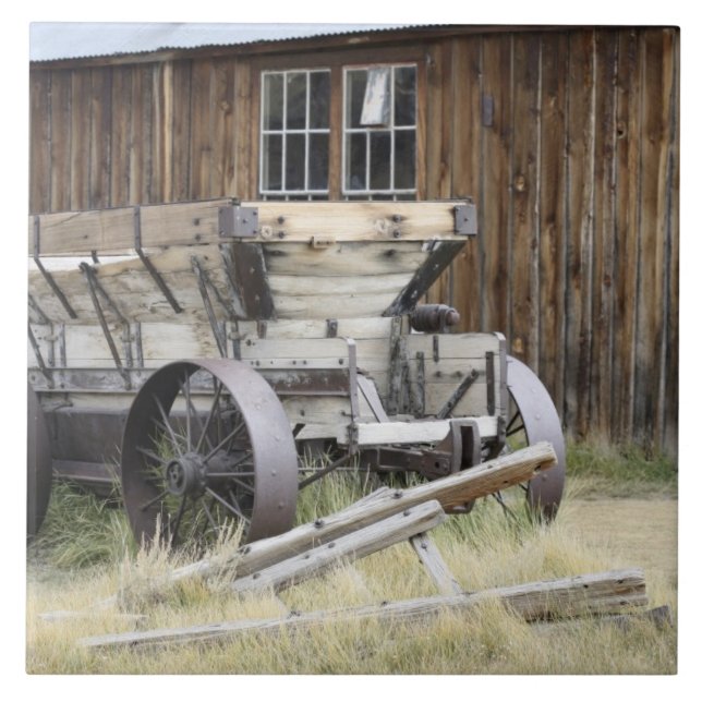 Carreau Bodie State Historic Park, CA (Devant)