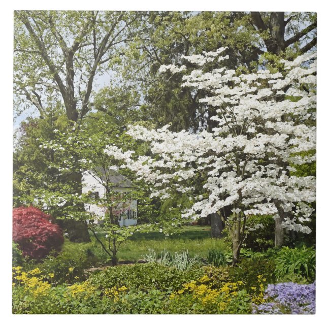 Carreau Bois de chien en fleurs (Devant)