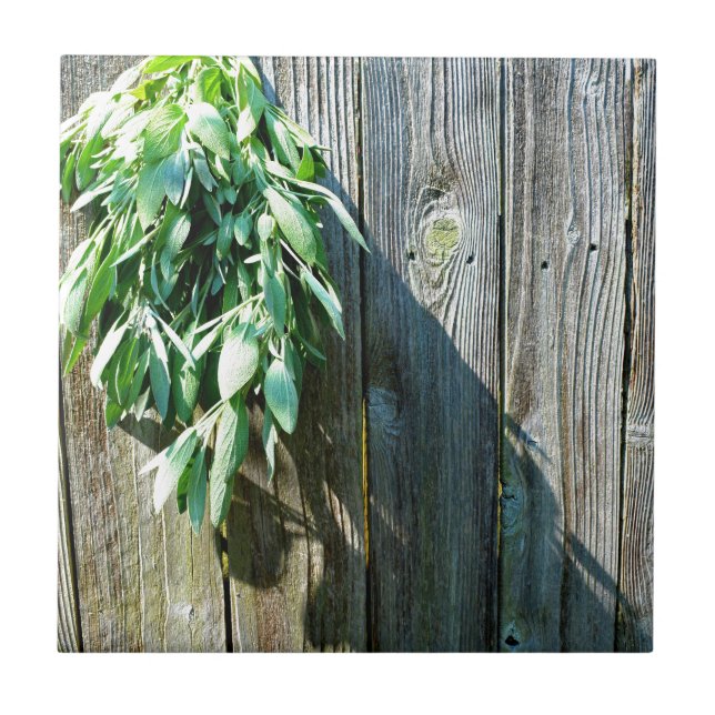 Carreau Bois de Grange frais coupé (Devant)