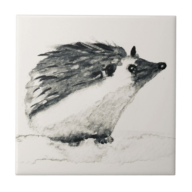 Carreau Bois de haies tuiles vintages (Devant)