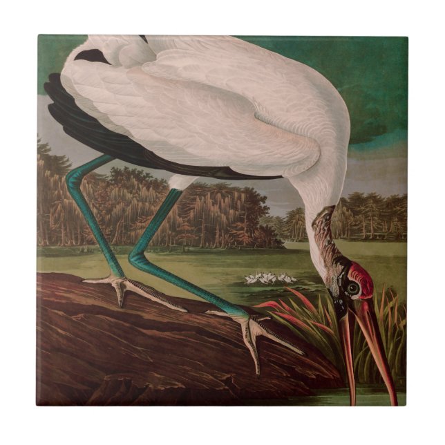 Carreau Bois Ibis Oiseaux d'Amérique Audubon Imprimer (Devant)